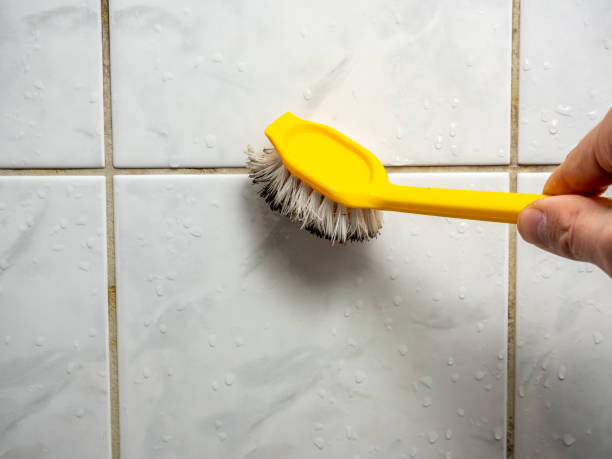 Best Black Mold Remediation in Avon By The Sea, NJ